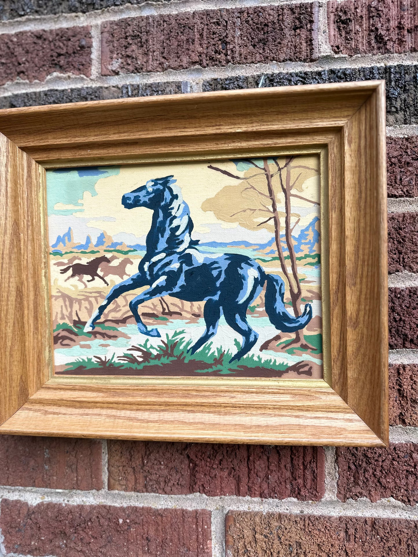 Vintage Paint by Number - Black Horse