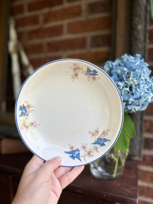 Bluebird China Bowls