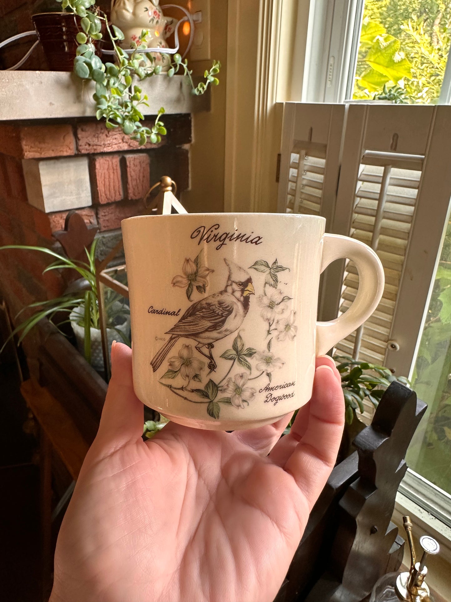 Vintage Souvenir Mug - Virginia