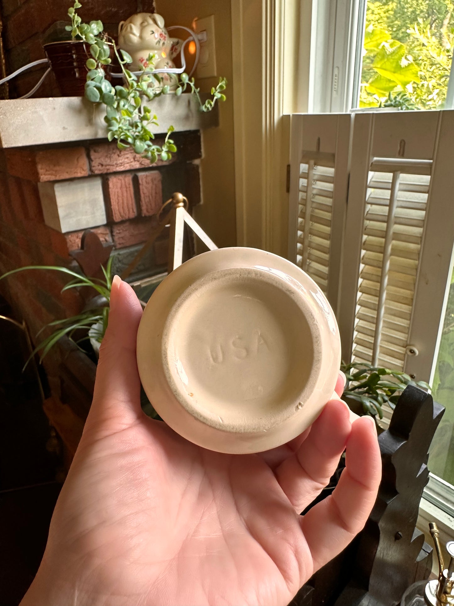 Vintage Souvenir Mug - Virginia