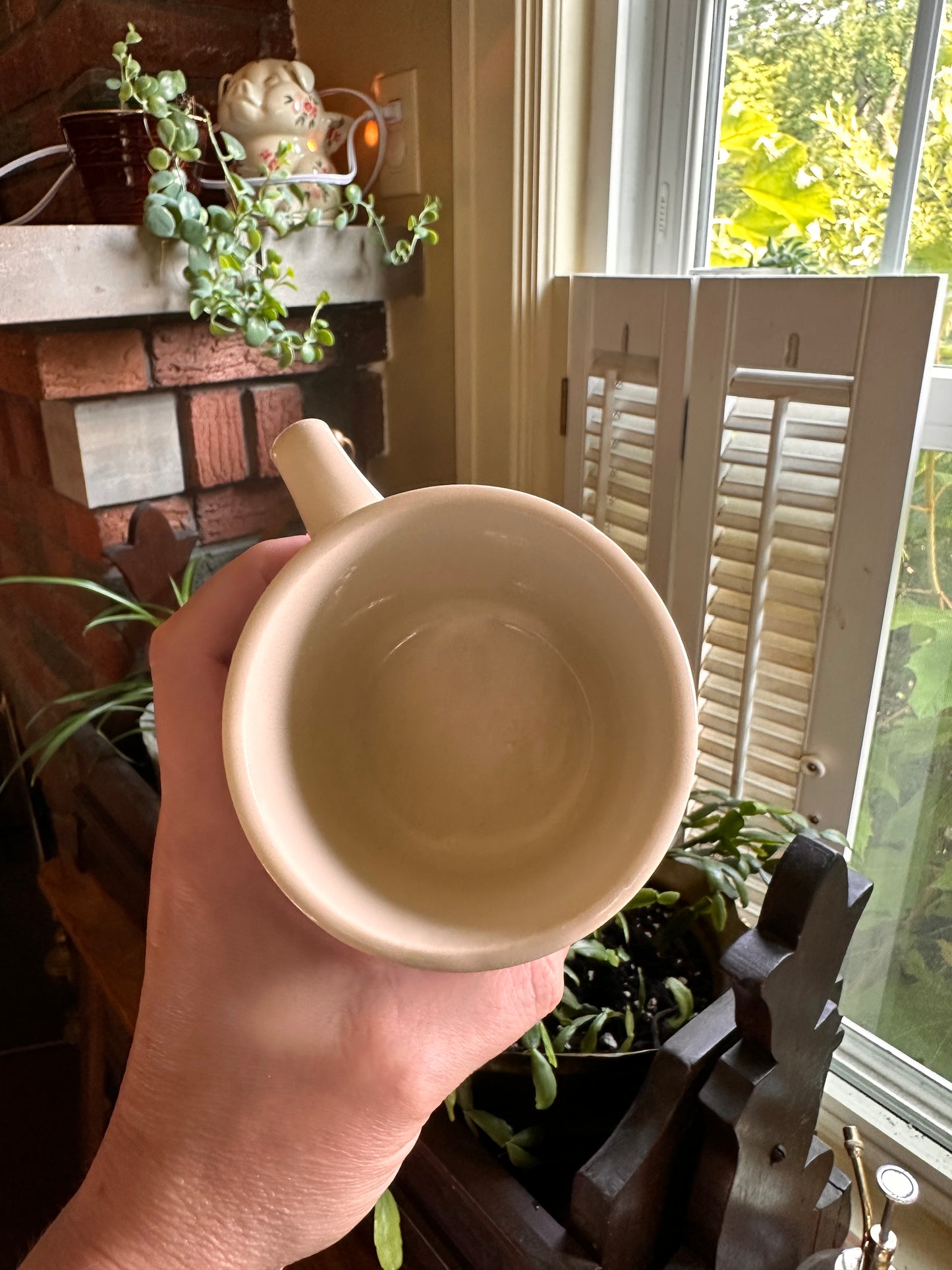 Vintage Souvenir Mug - Virginia